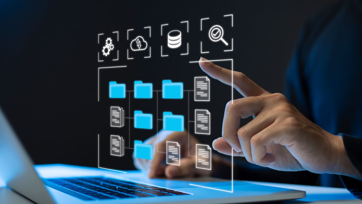 How to Manage Your WordPress Database: A Comprehensive Guide