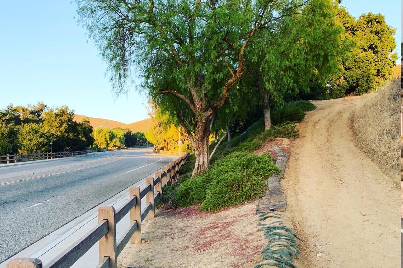 Freenginxu2019s Stand Against Corporate Limits: Potentially A New Era for WordPress Hosting